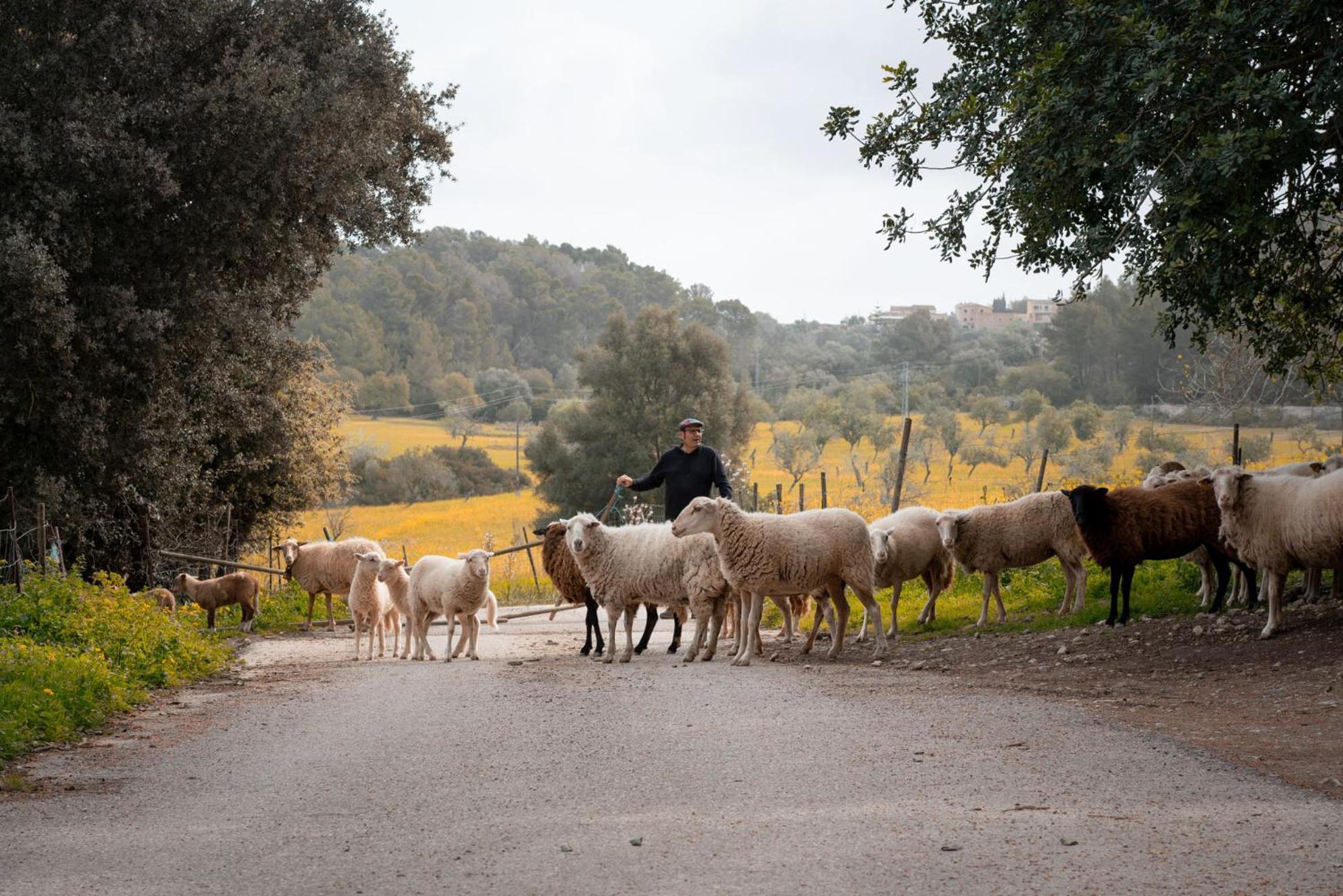 Agroturismo S'hort De Son Caulelles - Adults Only *