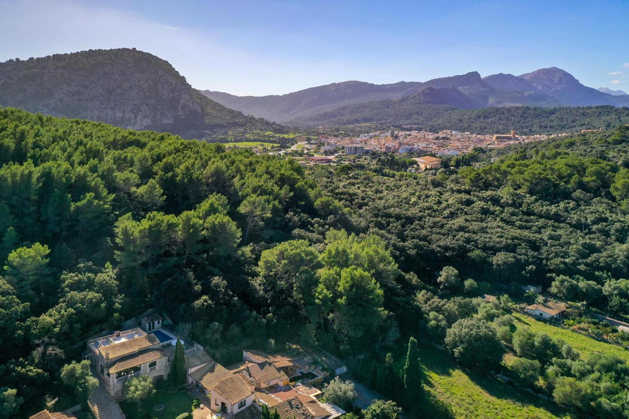 Llop Villa Pollensa