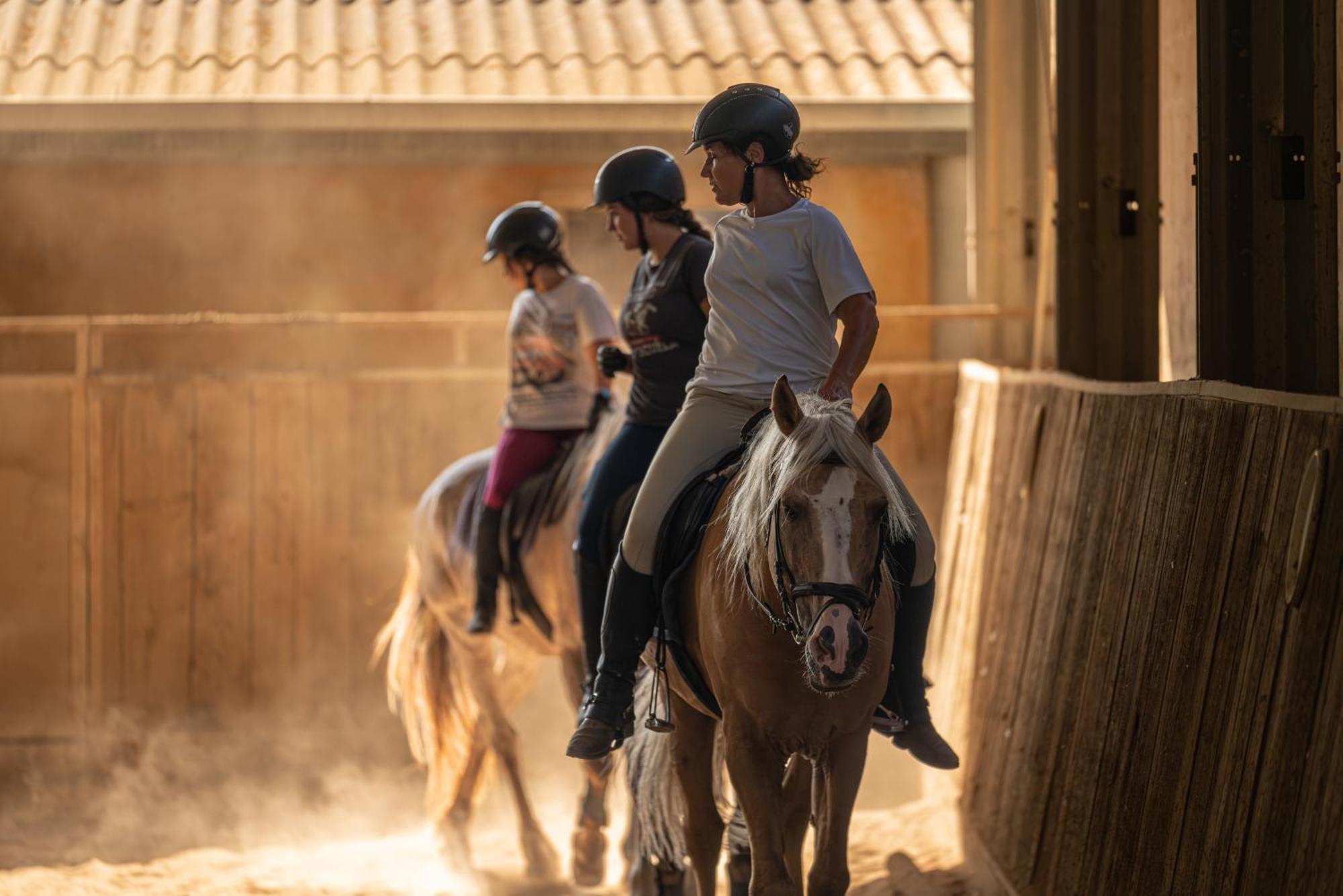 Country house Son Menut Felanitx