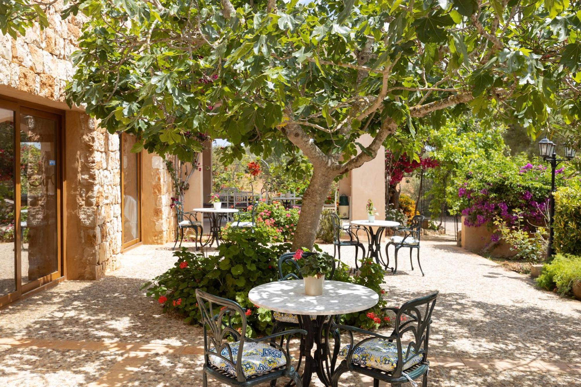 Agroturismo Son Marimon (adults Only)