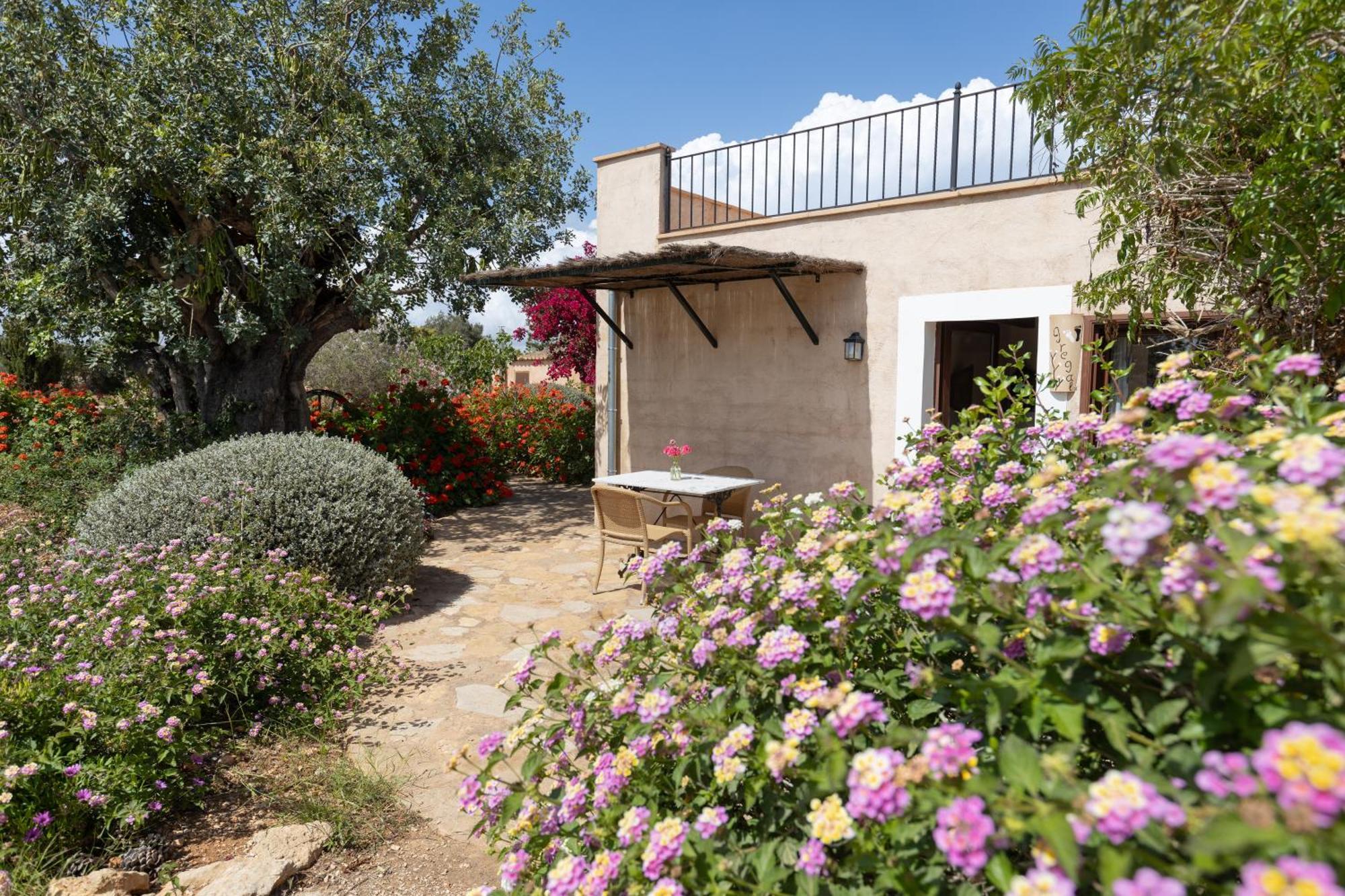Son Marimon (adults Only) Santanyí