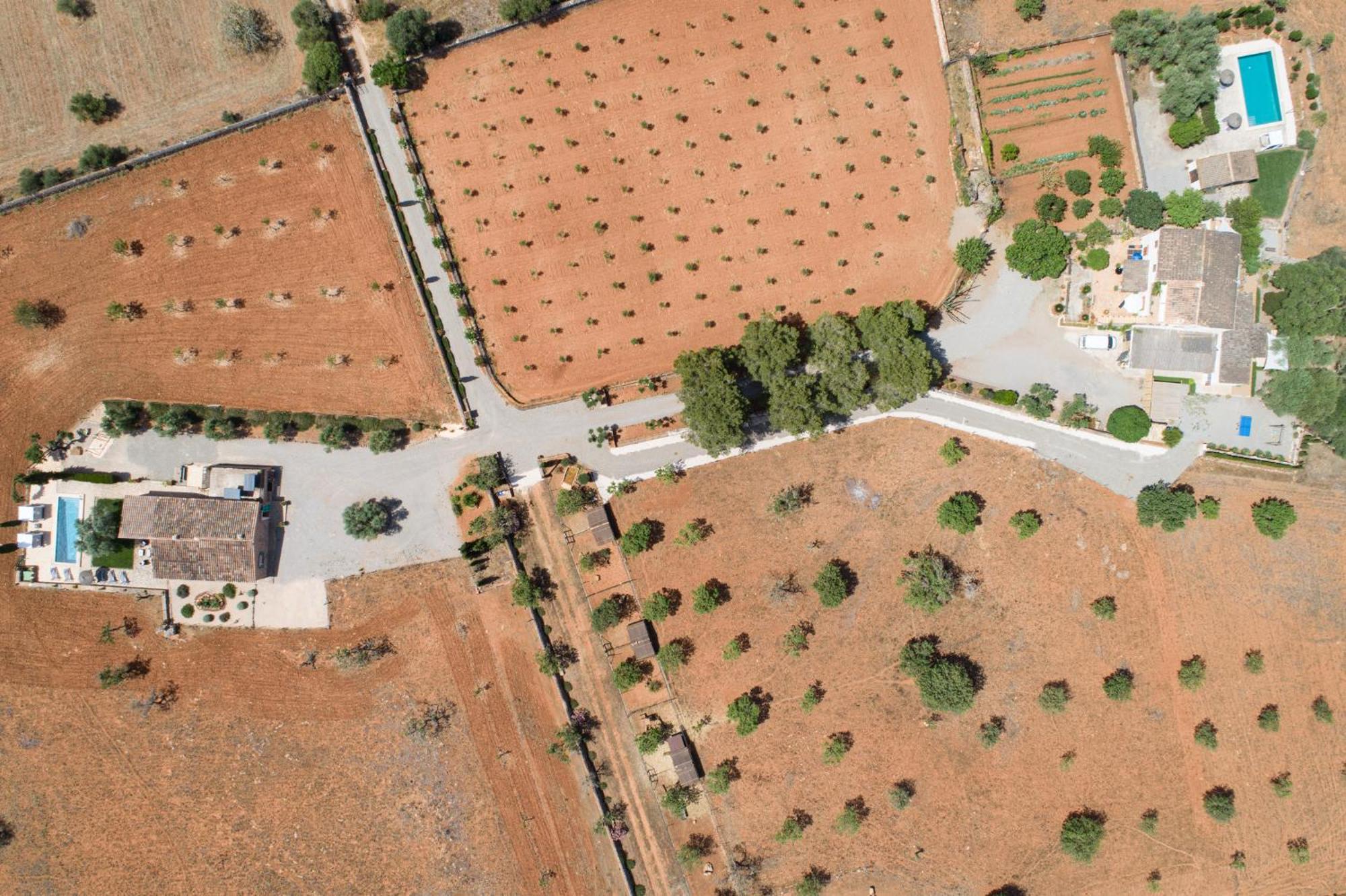 S'estador Manacor (Mallorca)