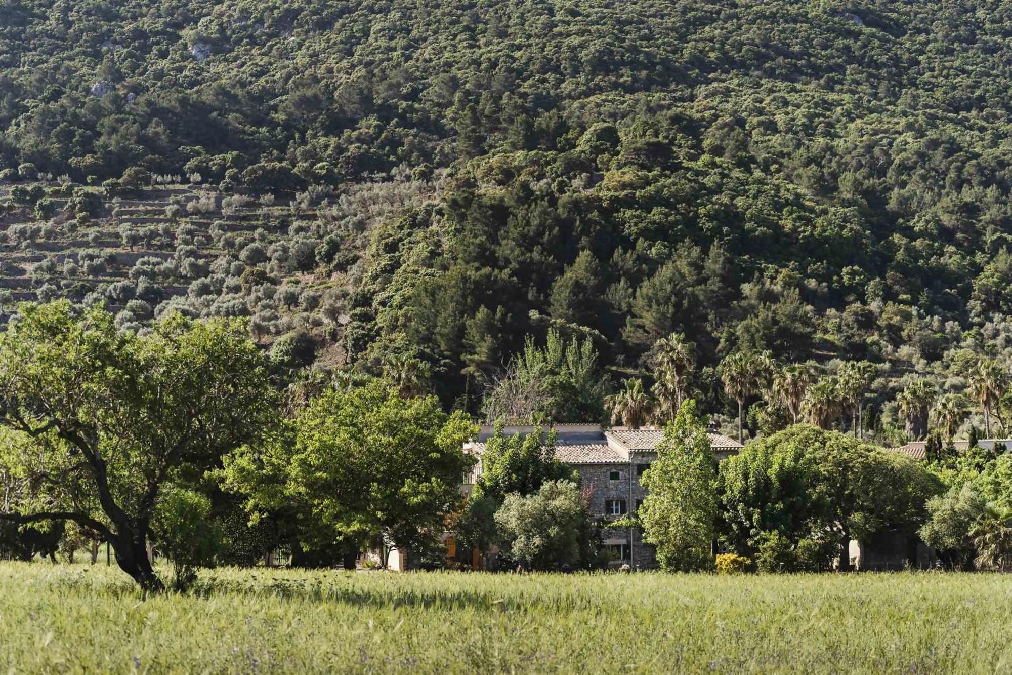 Villa Sa Sinia En El Corazon De La Tramuntana *