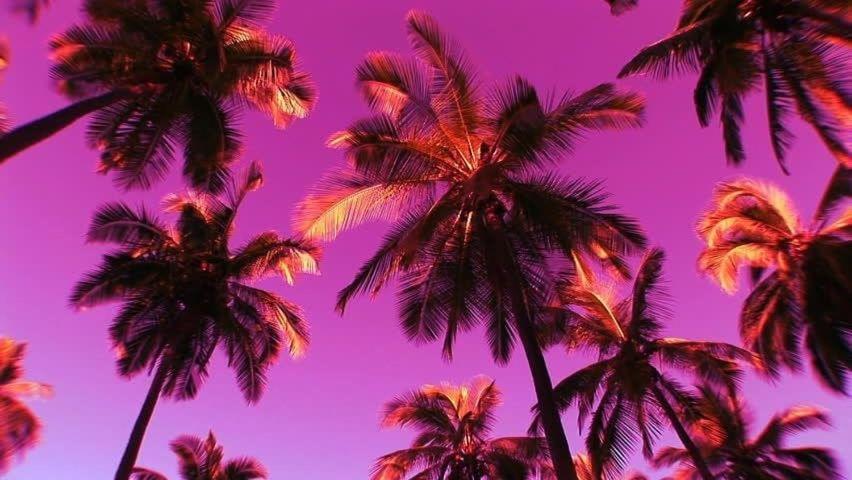 Flamingo Lujo *