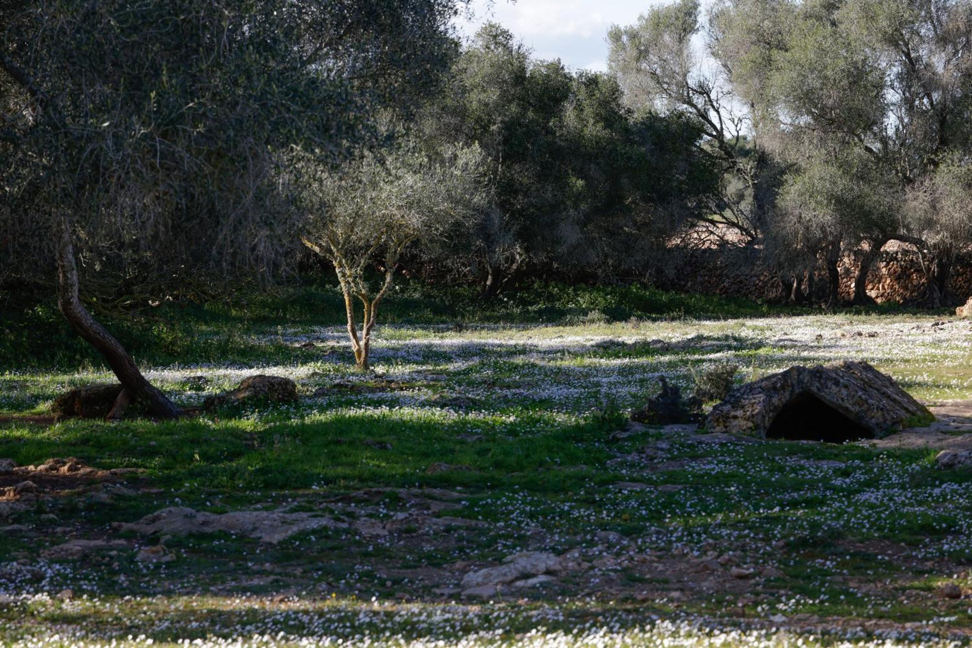 Son Pieras Casa rural *