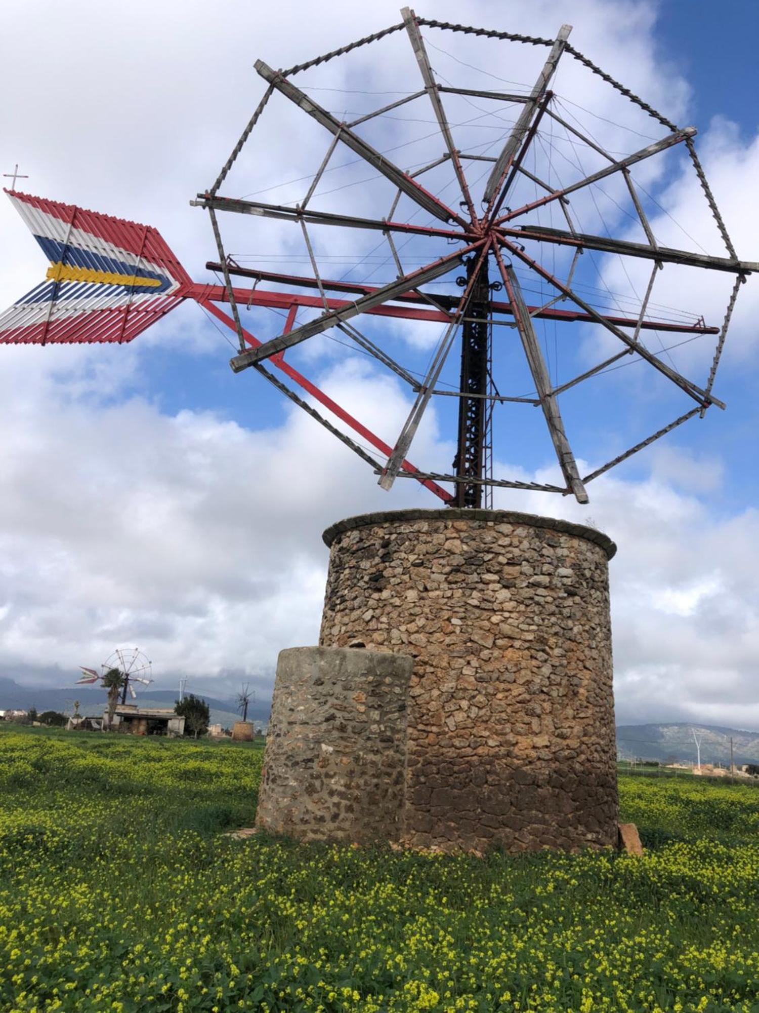 Villa Rural Son Pou *