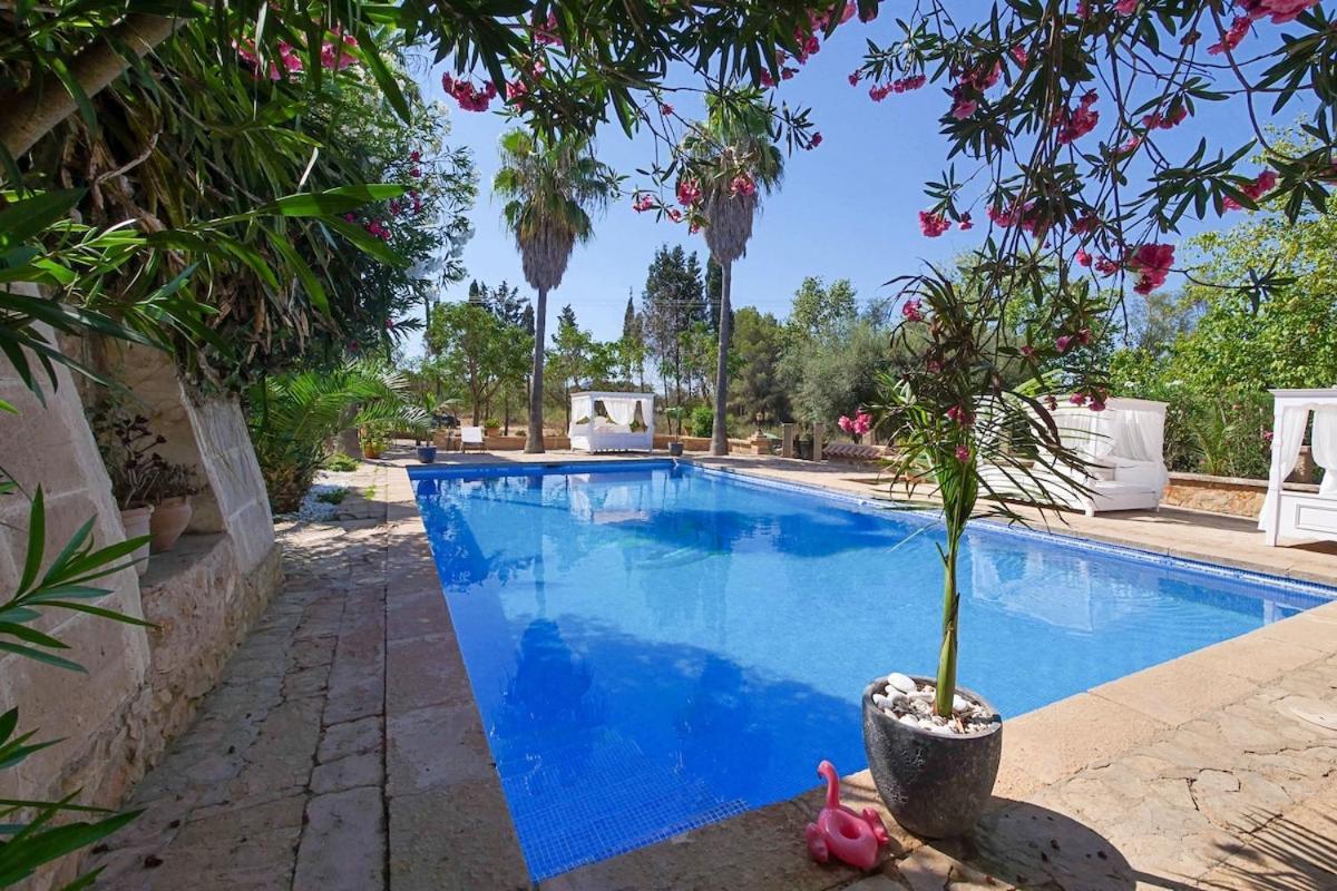 Apartment Llorenc 2 Auf Fincagehoeft, Klima, Wifi, Terrasse, Xxl Pool, Gemeinschaftskueche, Yoga Manacor (Mallorca)