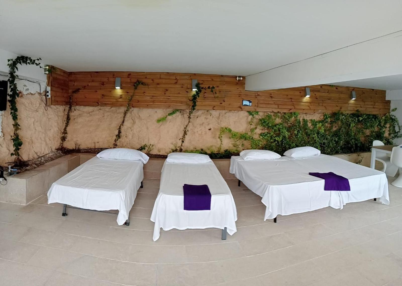 Vip Seafront El Toro (Mallorca)