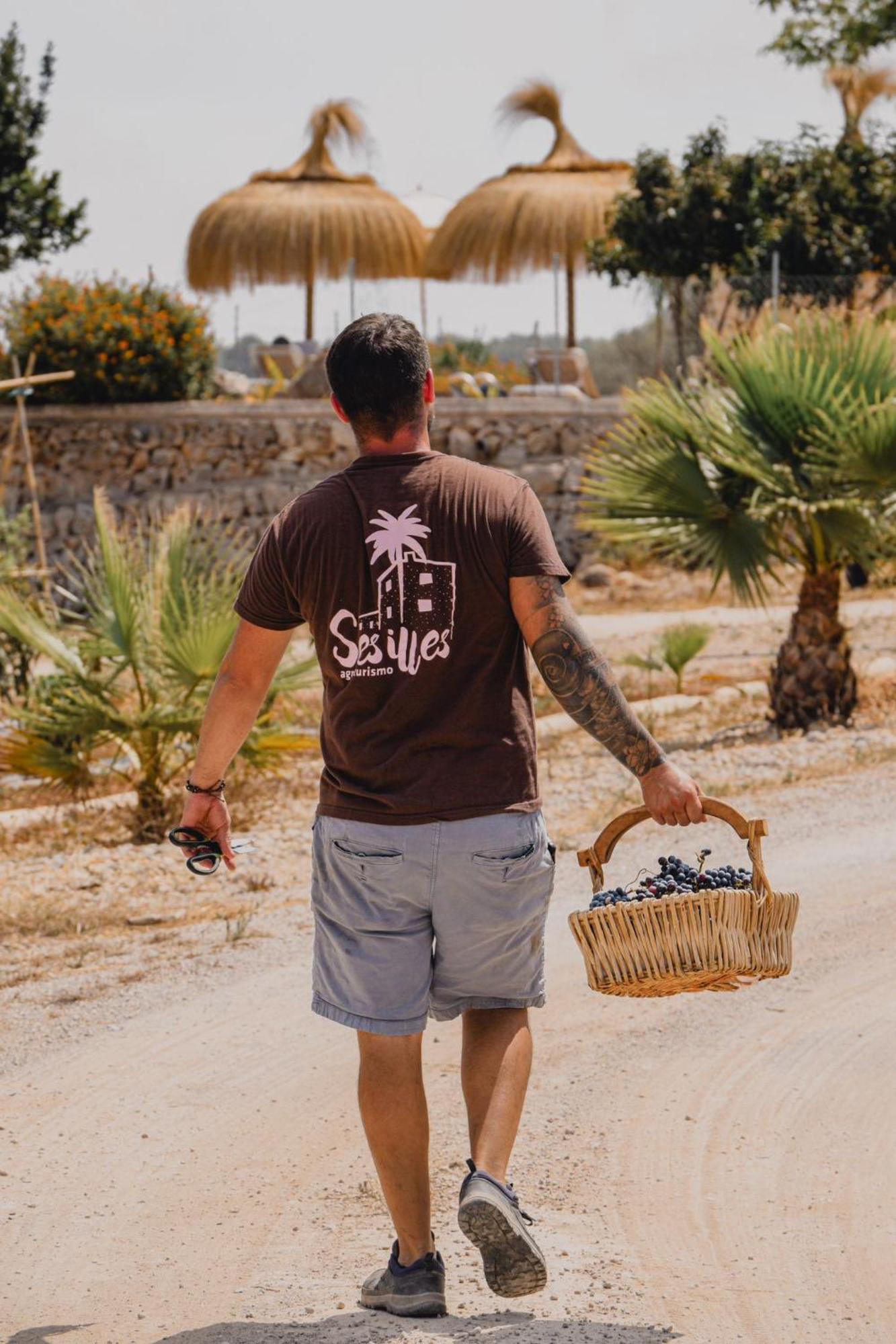 Agroturismo Ses Illes Costitx (Mallorca)