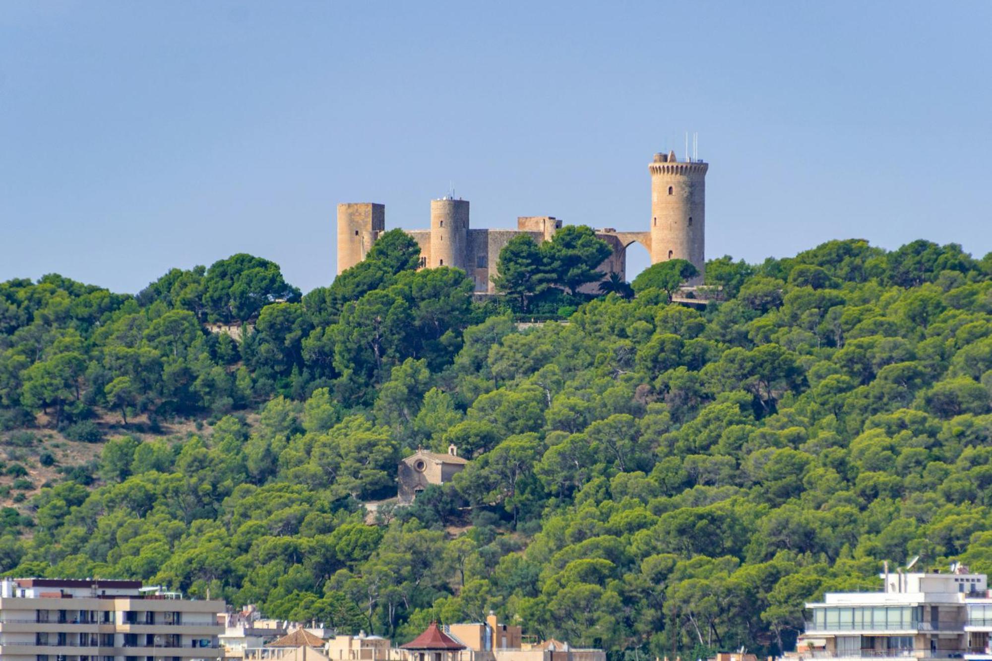 Gomila Palma de Mallorca