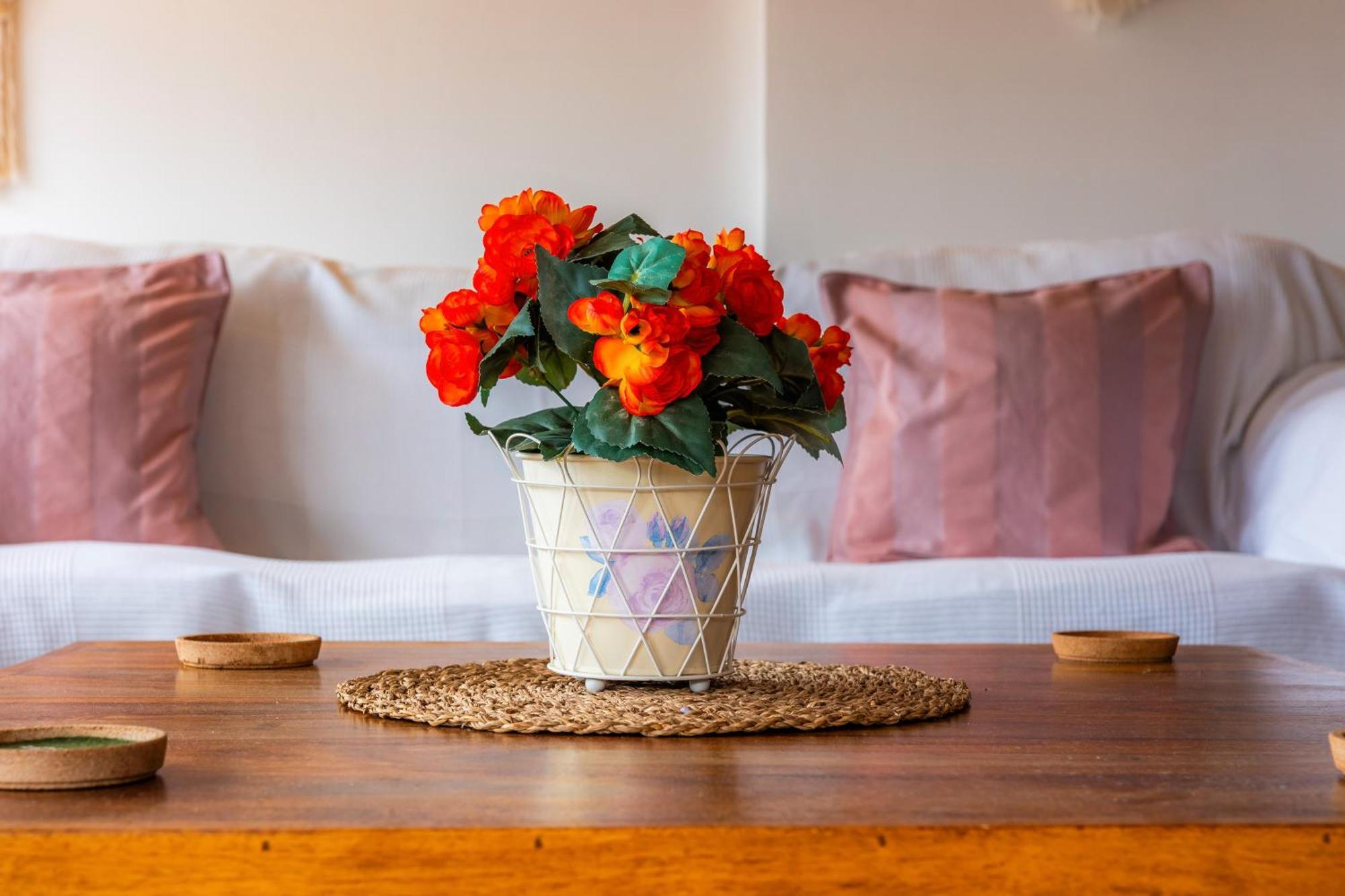 Carla Apartamento