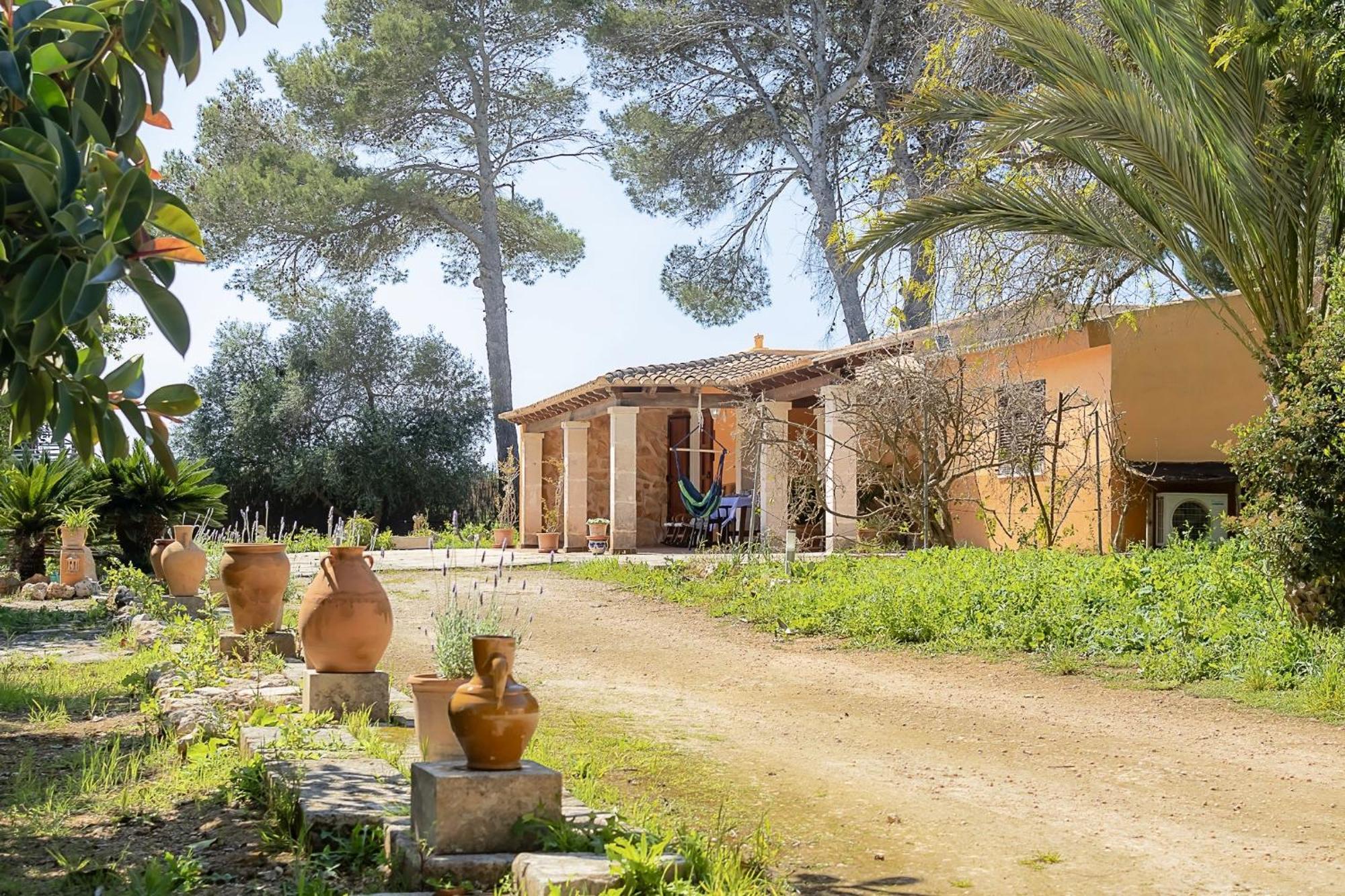 Son Pereto Petit Holiday home *