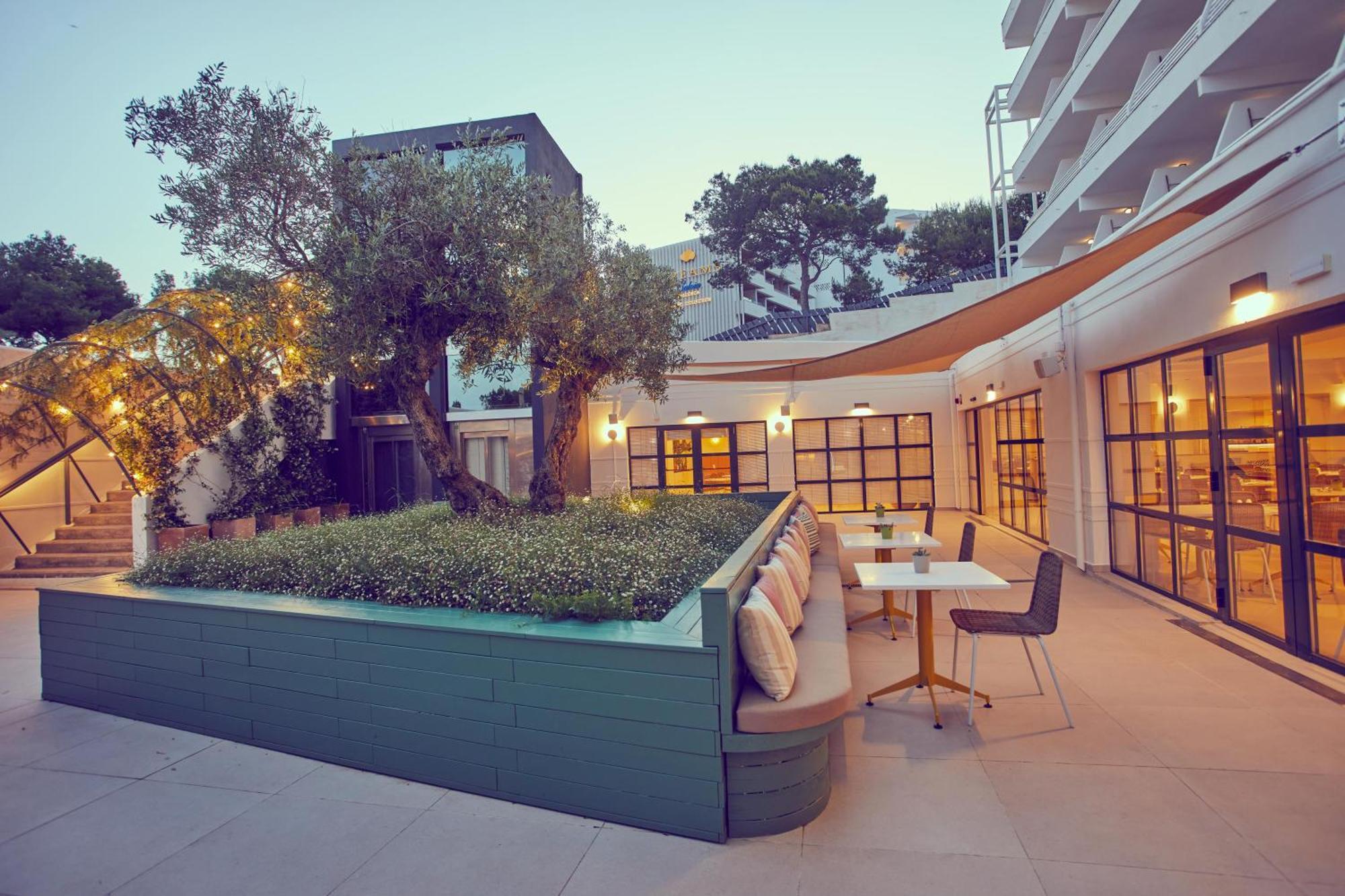 Dreams Calvia Mallorca (adults Only) Hotel 4*
