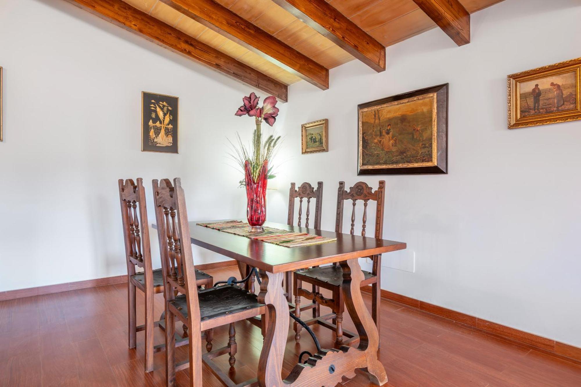 Villa Mayol