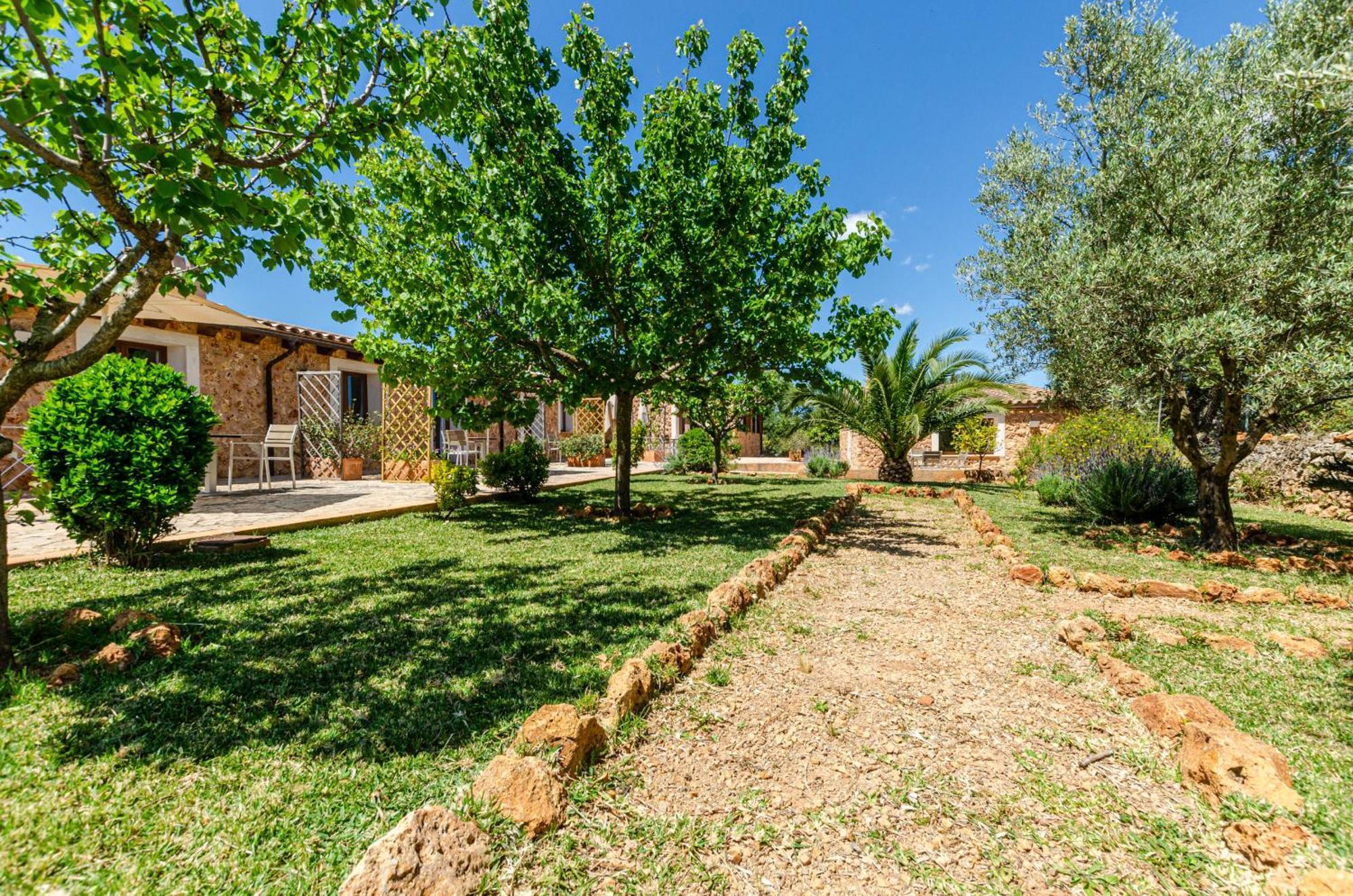 Yourhouse Porreti La Figuera