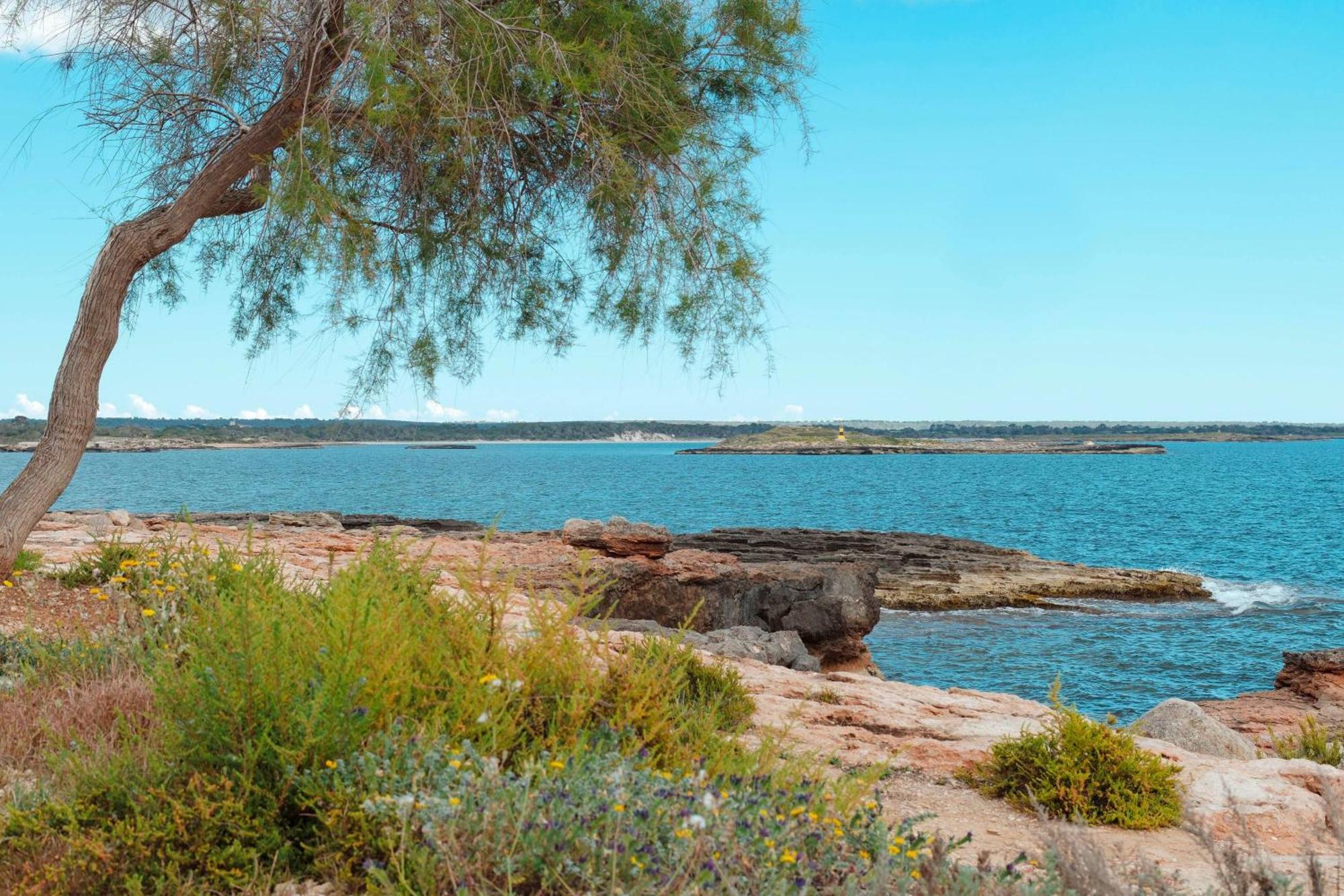 Marina Uno Colonia de Sant Jordi
