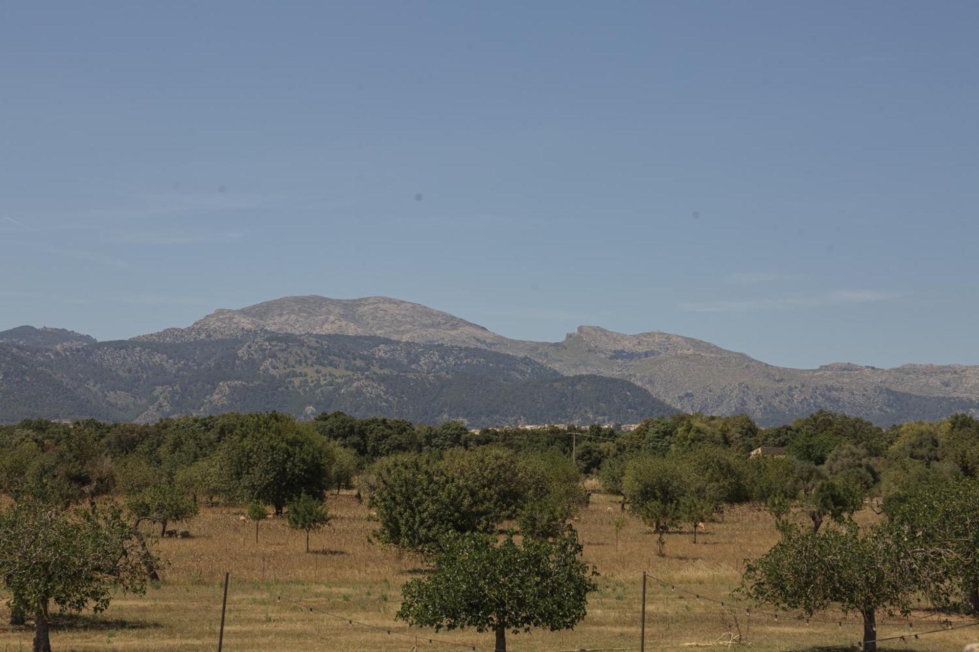 Historic Nature, Charm & Total Privacy Villa Búger