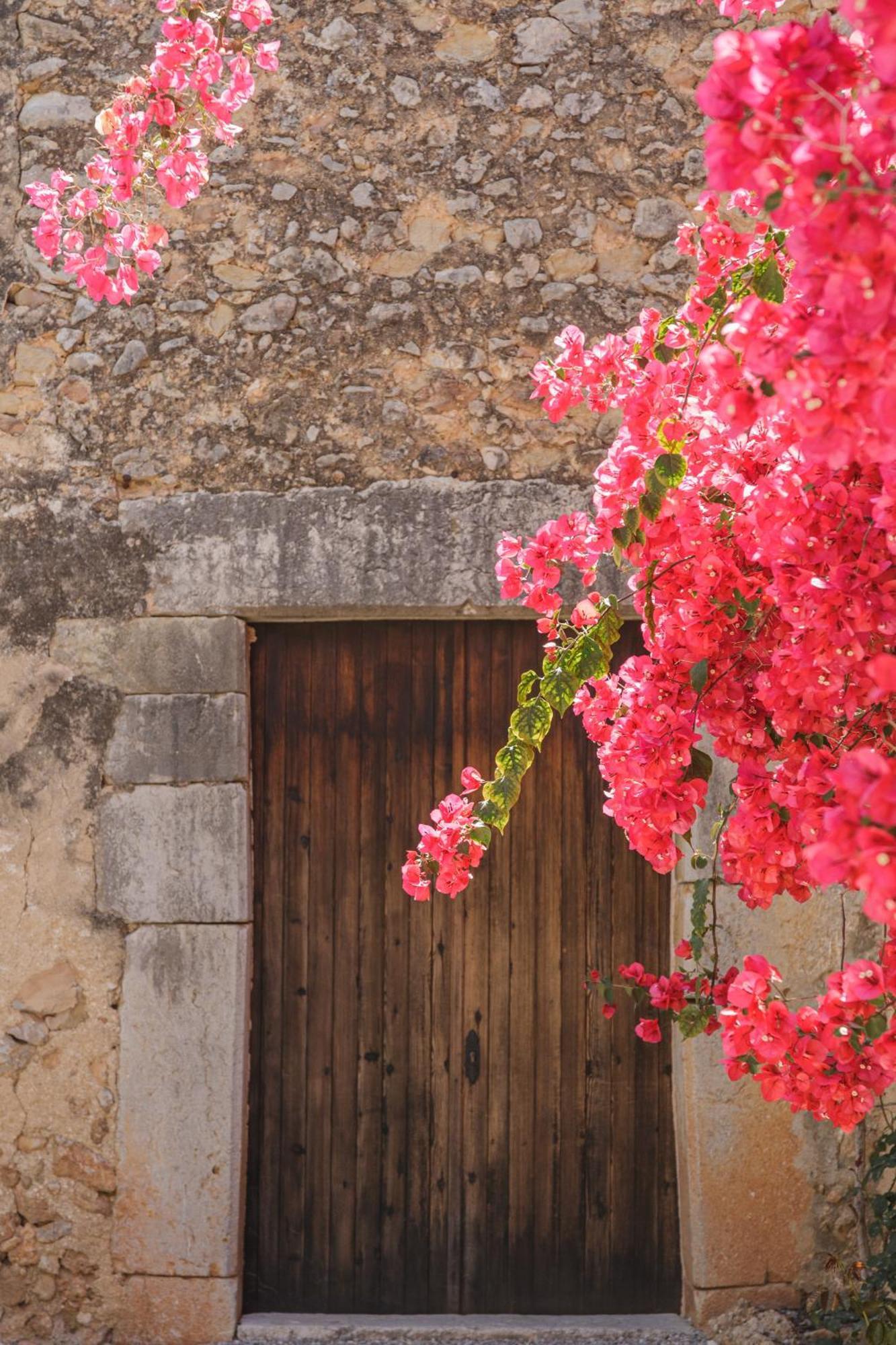 Historic Nature, Charm & Total Privacy Búger