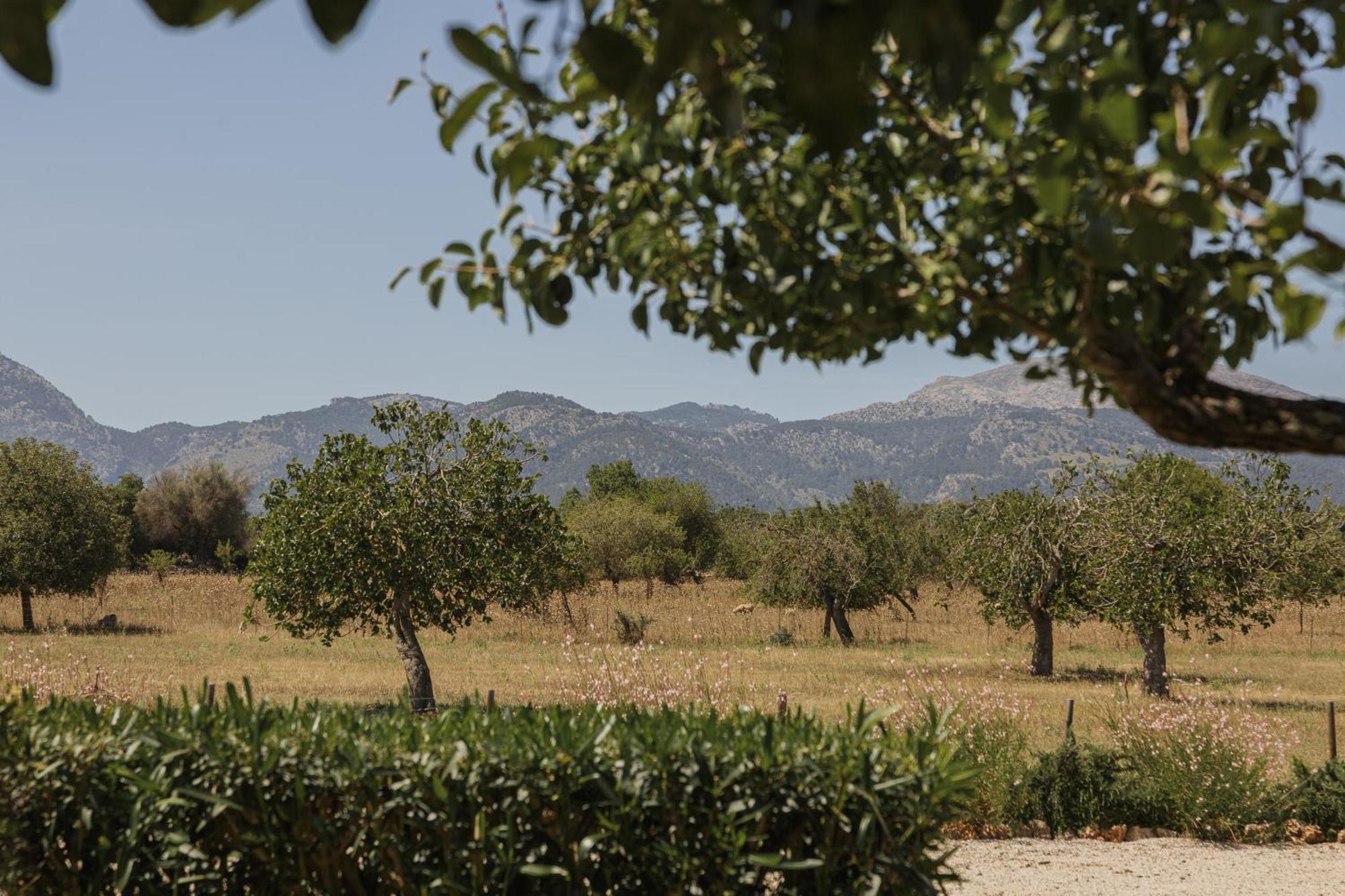 Historic Nature, Charm & Total Privacy * Búger