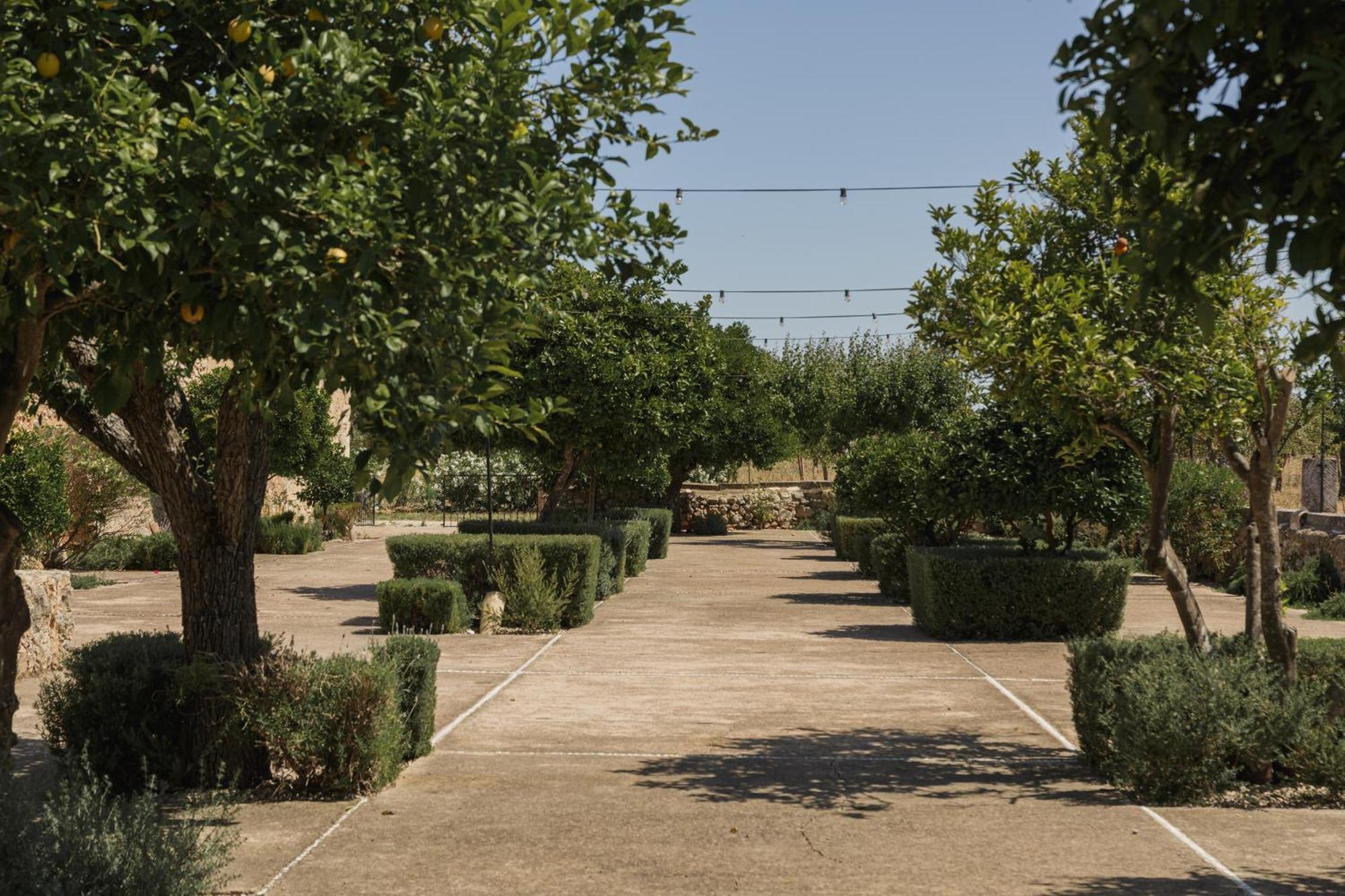 Historic Nature, Charm & Total Privacy Villa Búger