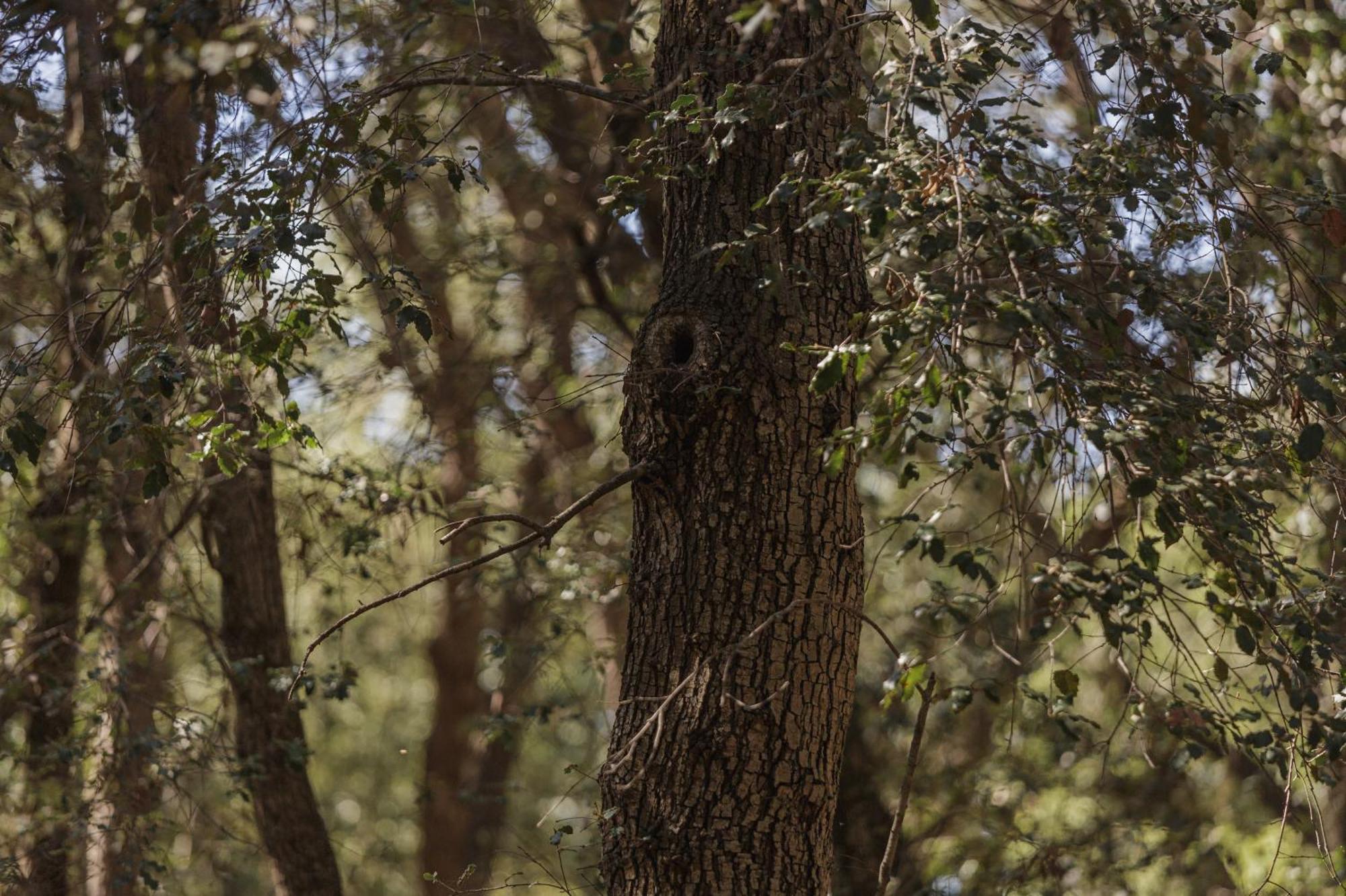 Historic Nature, Charm & Total Privacy * Búger