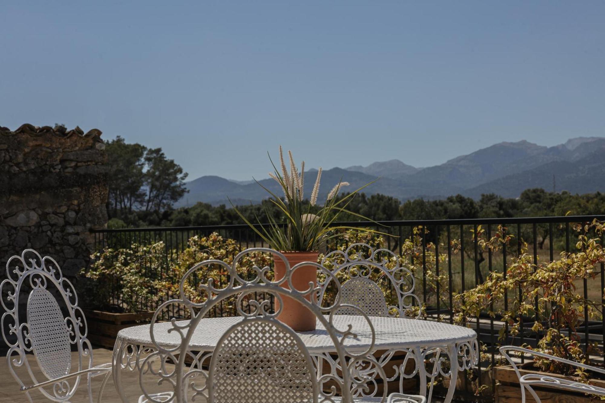 Villa Historic Nature, Charm & Total Privacy