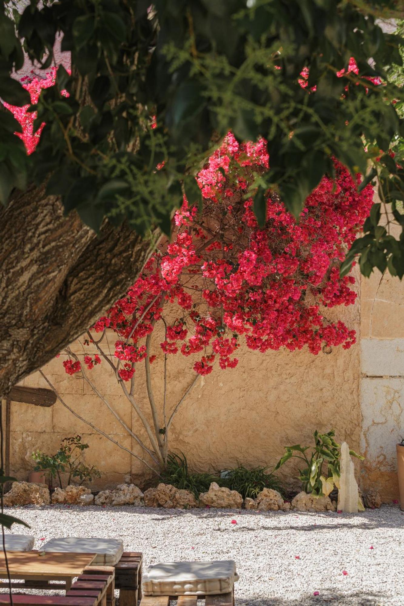 Historic Nature, Charm & Total Privacy