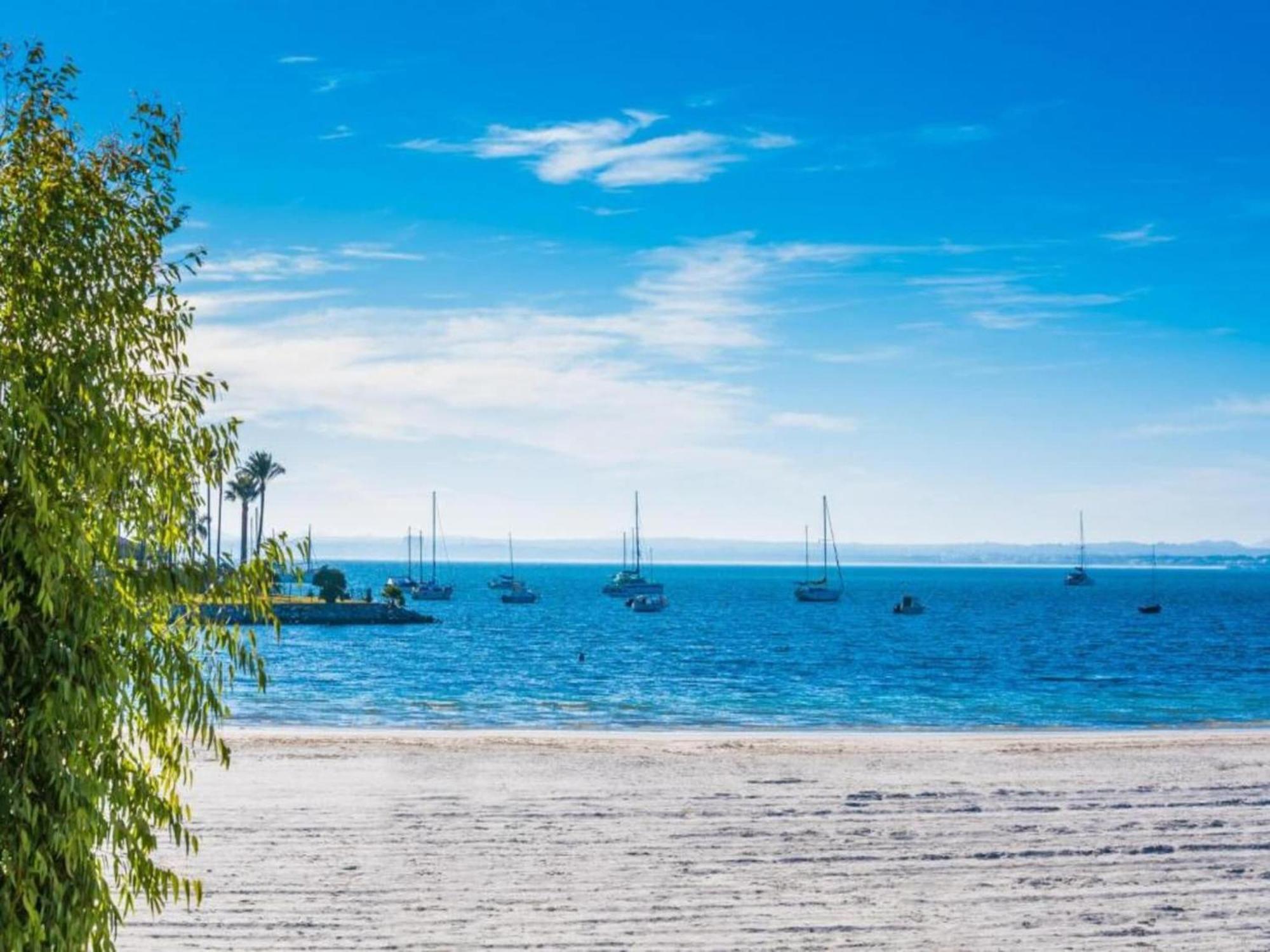 Bright 350 M From Apartment Alcudia (Mallorca)