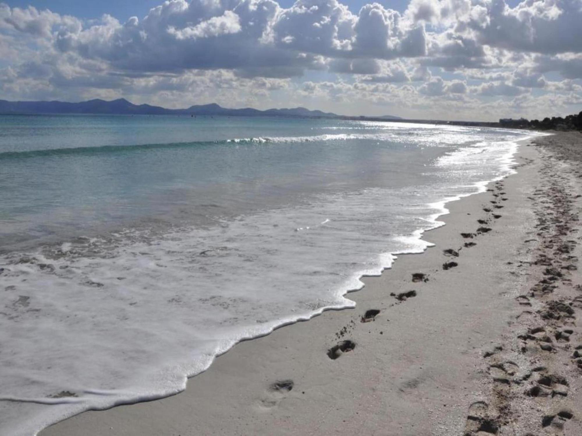 Apartment, 200m From Apartment Alcudia (Mallorca)