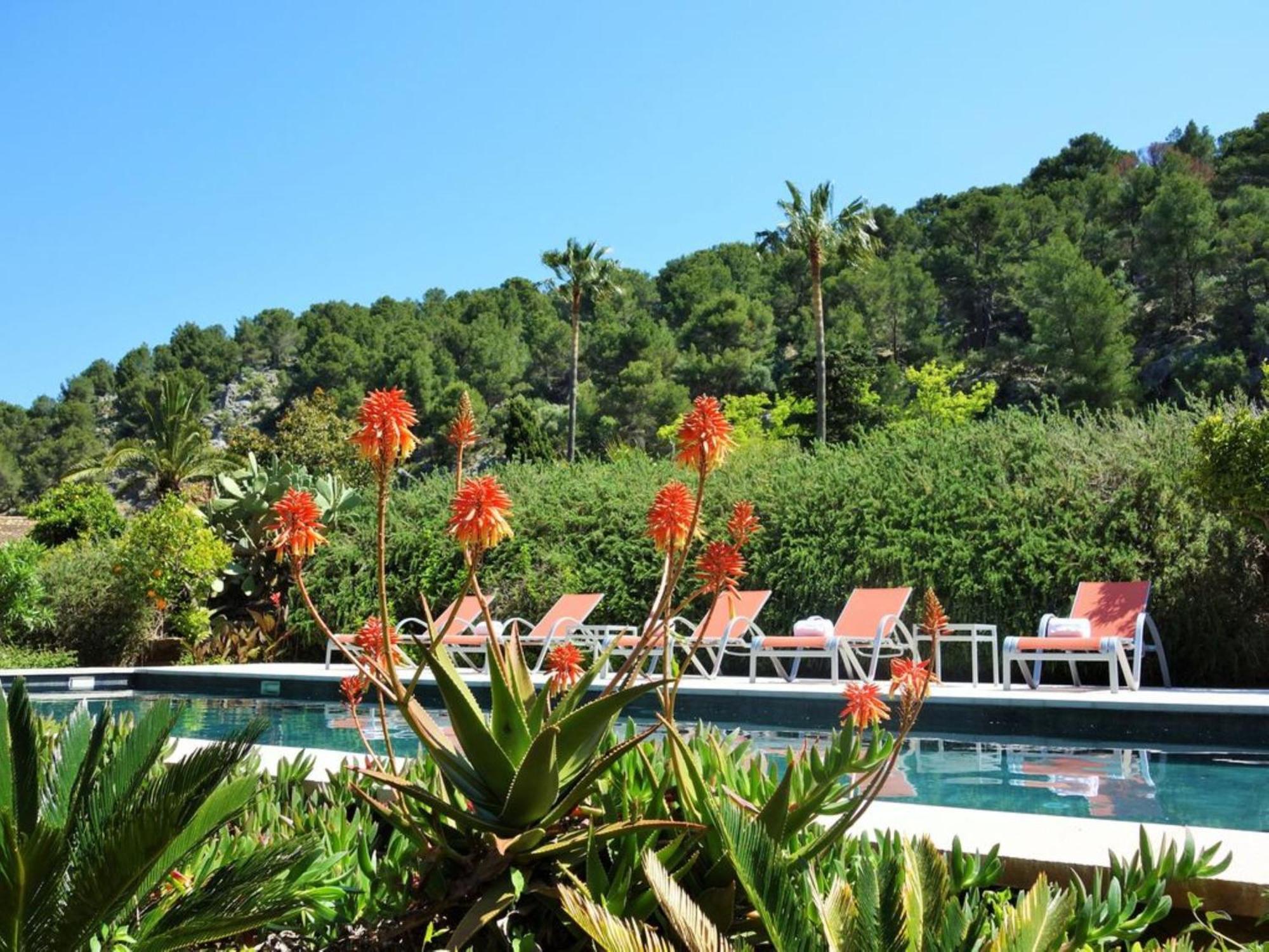 Finca es Verger des Port * Sóller