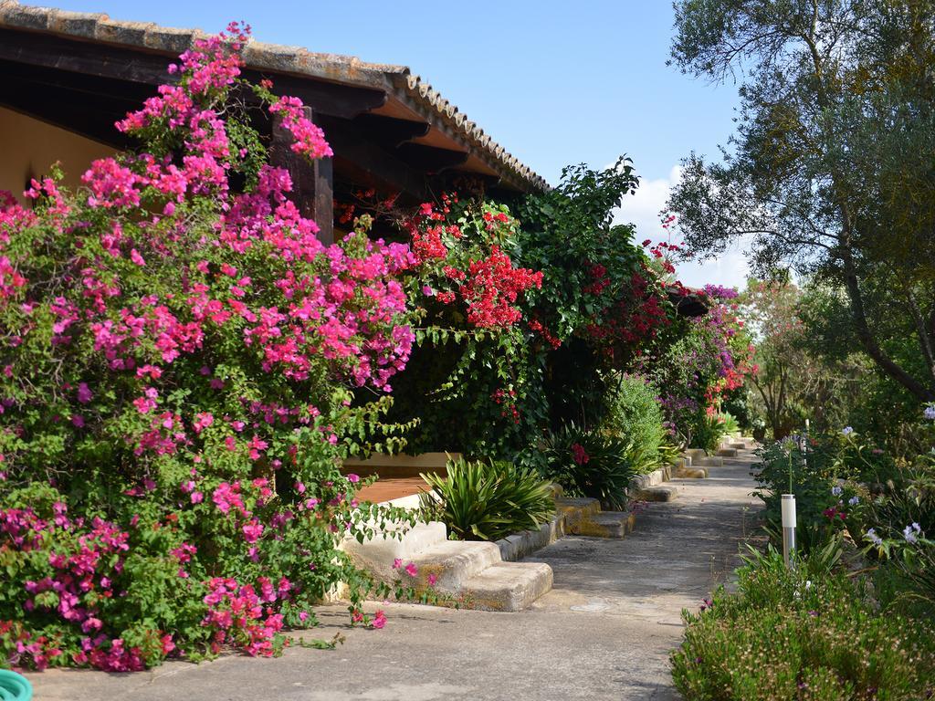 Rural Predio Son Serra *