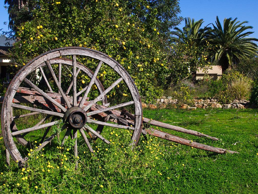 Rural Predio Son Serra