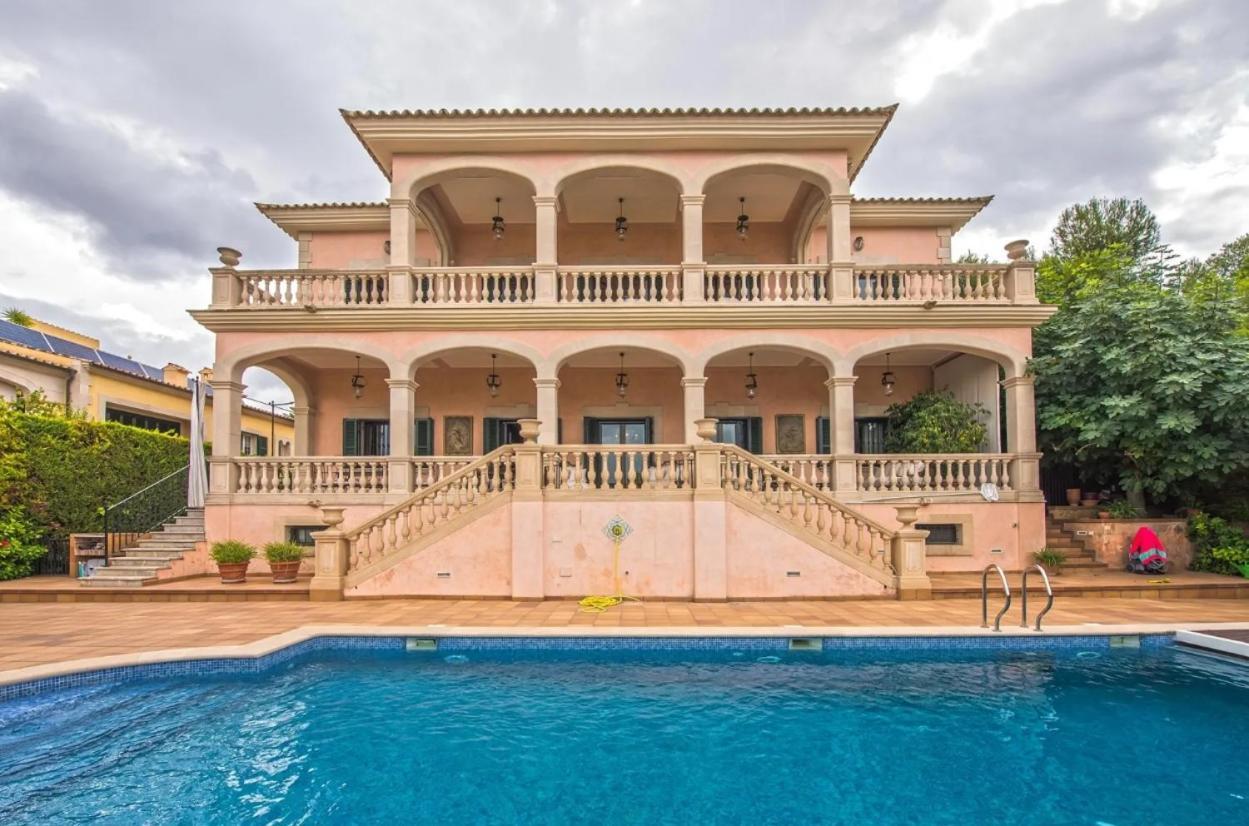 Palomo Con Piscina