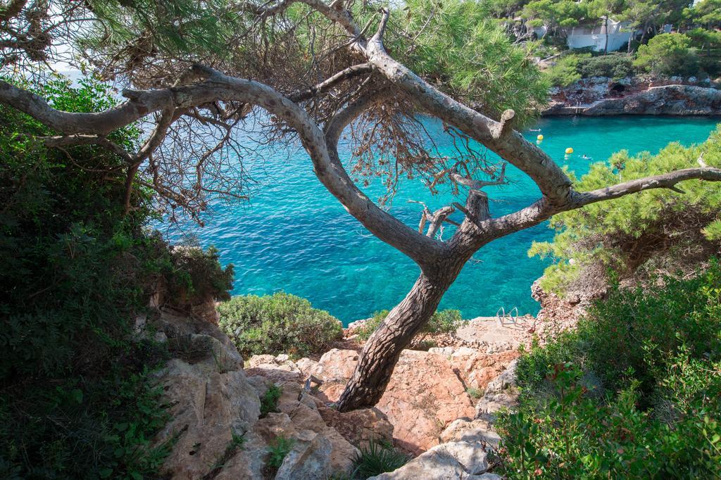 Egos 89 Cala D´Or