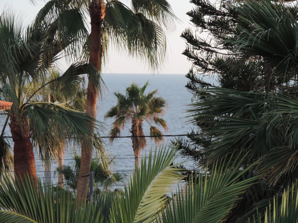 Mediterranean Blue *
