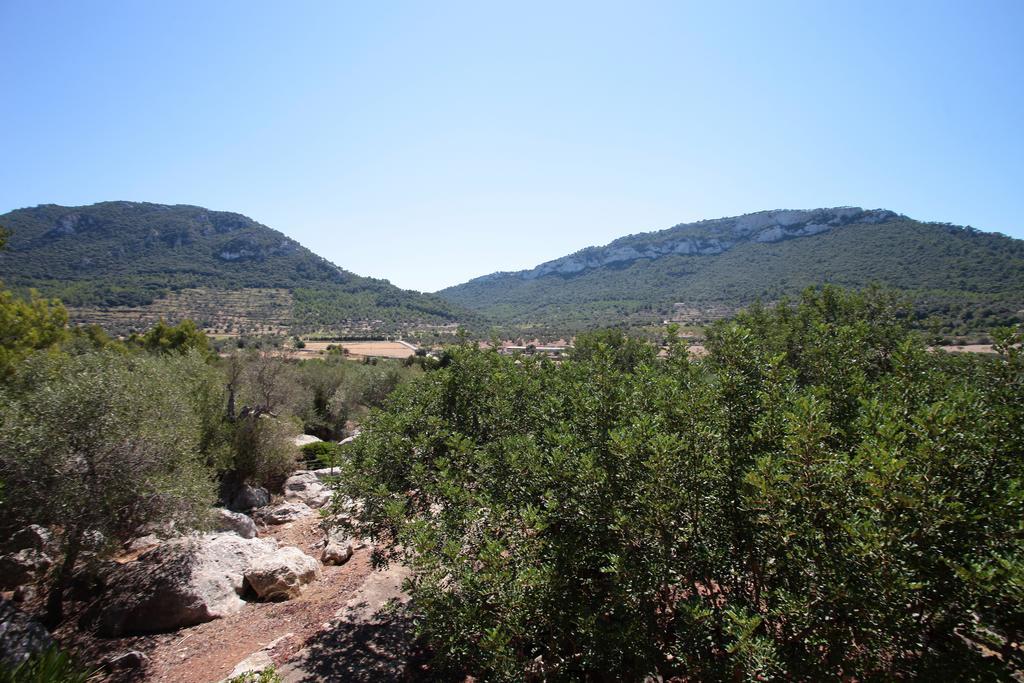 Ca's Garriguer * Valldemossa (Mallorca)