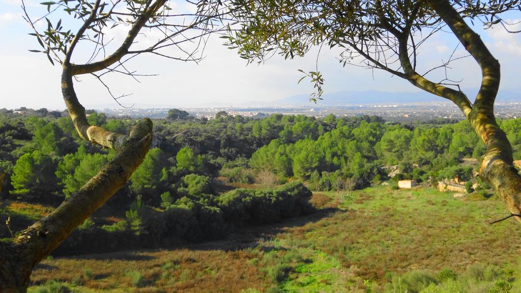 Villa S'alqueria De Son Gual La Aranjasa