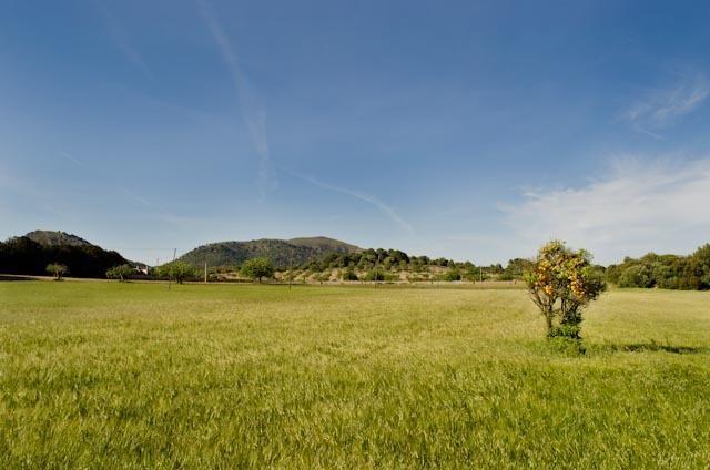 Agroturismo S' Horta