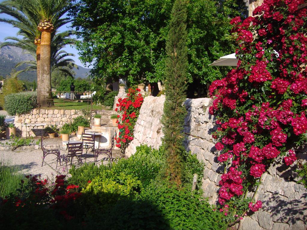 Pontico Holiday home Pollenca