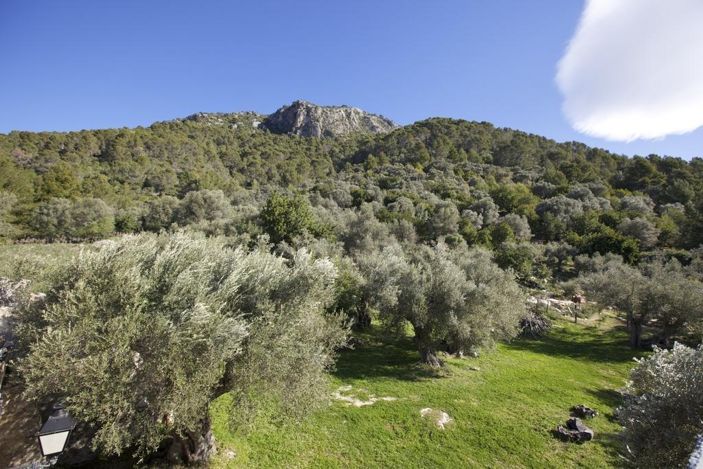 Es Castell 4*