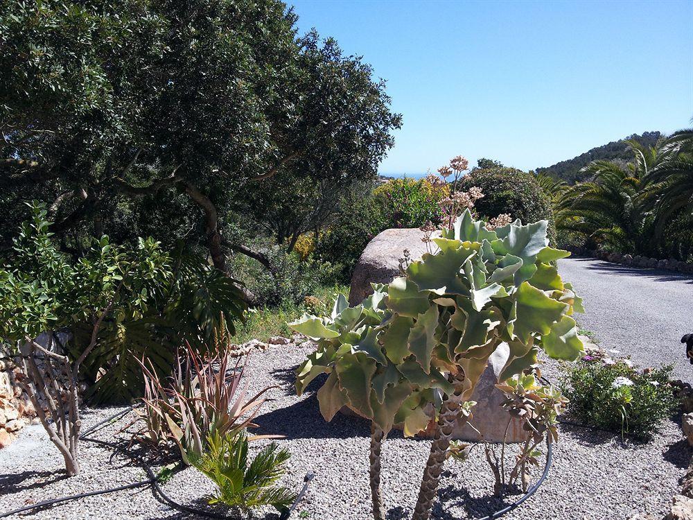Es Picot Agroturismo Son Macià