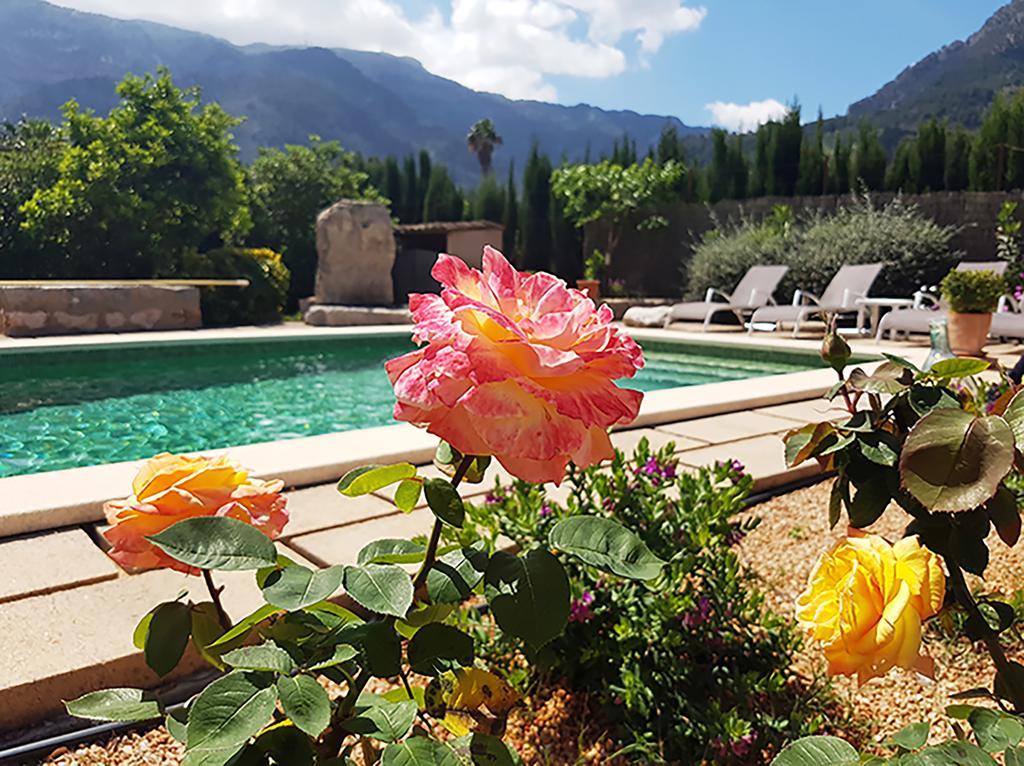 Toniet Holiday home Soller