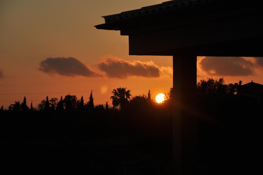 Alegria Llucmajor (Mallorca)