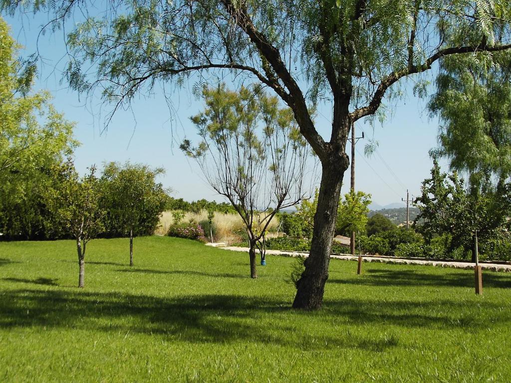 Agroturismo Roqueta *