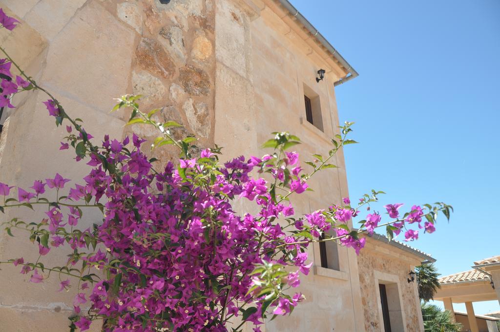 Hotel Alegria Llucmajor (Mallorca)