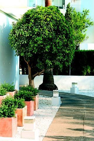 Apartamento Bellamar *