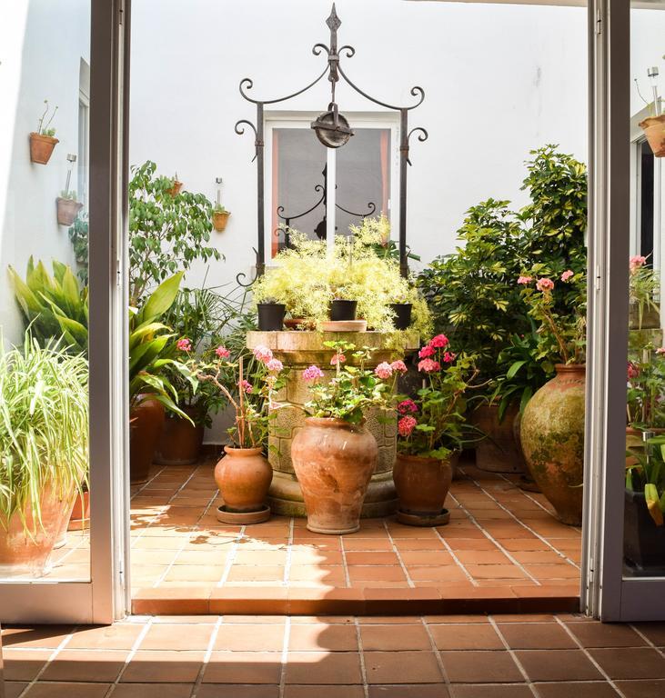 Apartamento Alexia - Complex