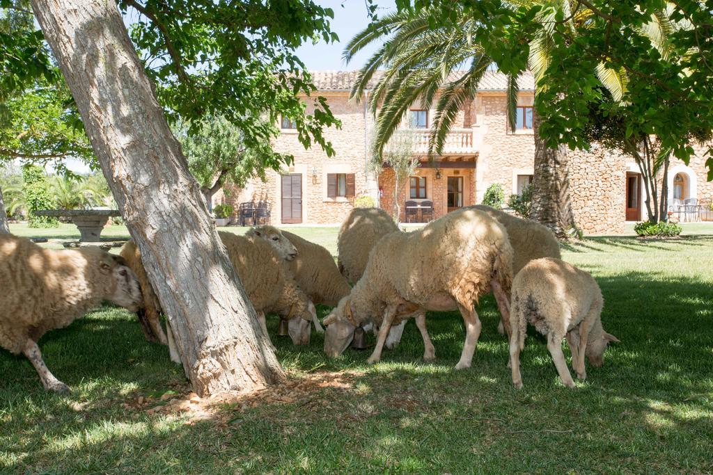 Es Quatre Cantons