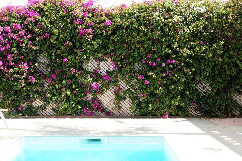 Сasa de vacaciones Casa Molinar Palma de Mallorca