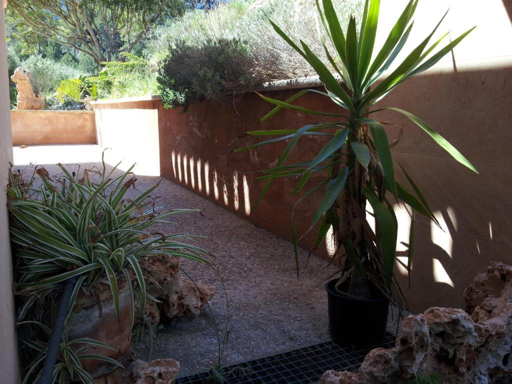 Es Picot Agroturismo
